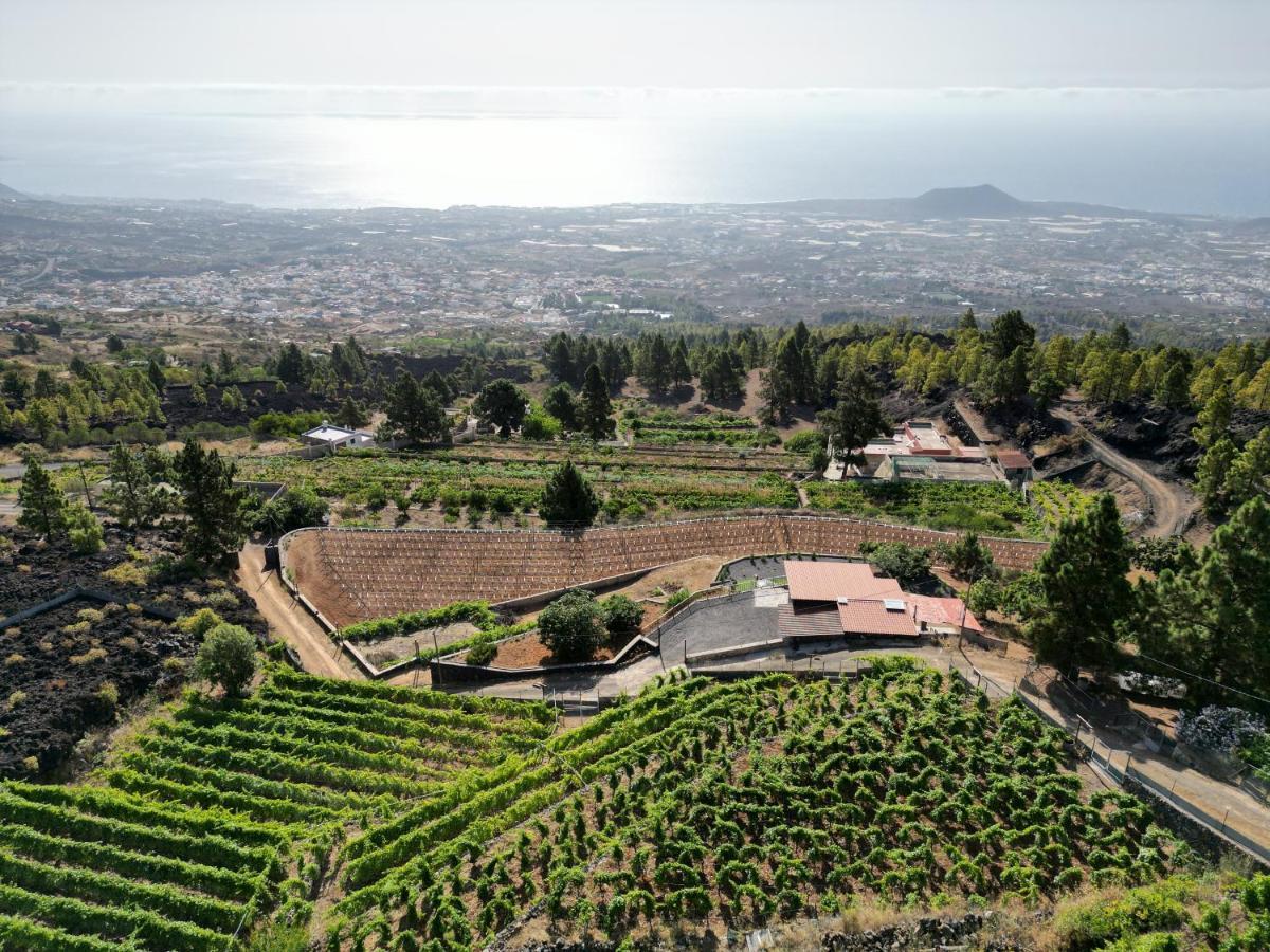 Finca Ecologica Ferrera. Alojamiento Rural. Arafo Eksteriør billede